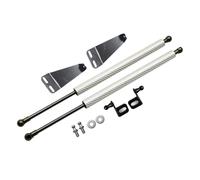 Ammortizzatori Cofano Per Nissan 300ZX Z32 Per Nissan Fairlady Z 1989-2000 Ammortizzatore Cofano Anteriore Modifica Ammortizzatori A Gas Pistone Supporto Auto Molla A Gas(Silver carbon fiber)