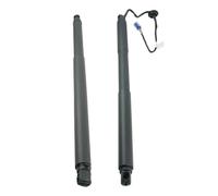 Ammortizzatori cofano posteriore 1668901130/1669802164 Supporto Sollevamento Portellone Elettrico Per Mercedes Per Benz ML/GLE/W166 2013-2015 Ammortizzatori Portellone Elettrico(Pair)