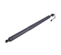 Ammortizzatori cofano posteriore 51244887651 51244887652 Coppia Supporti A Gas Per Portellone Posteriore Elettrico 51247294588 Per BMW X5 E70 2007-2013 Pistoni A Gas Cofano Bagagliaio(RH)