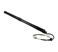 Ammortizzatori cofano posteriore Coppia Di Supporti Per Portellone Posteriore Elettrico Per Toyota Per RAV4 Per RAV-4 2019-2022 Gas 6891042060 Pistoni A Gas Cofano Bagagliaio(Rear Right Tailgate)