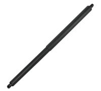 Ammortizzatori cofano posteriore Coppia Supporti Portellone Posteriore Elettrico Per Ford Per Explorer 2016-2019 Ammortizzatori A Gas GB5Z14B351A Pistoni A Gas Cofano Bagagliaio(Rear Right Tailgate)