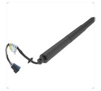 Ammortizzatori cofano posteriore Supporto Portellone Posteriore Elettrico (LH RH Universale) Per BMW X2 F39 2017-2020 Molla Pneumatica Supporto Sollevamento 51249465654