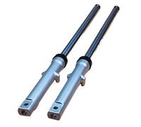Ammortizzatori, Confezione da 2 ammortizzatori anteriori for moto 670 mm 27 mm for CG125 CG150 multicolore(Silver)