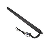 Ammortizzatori Gas Portellone Posteriore Elettrico 1 coppia 51247232003 sinistro 51247232004 destro montante elettrico portellone posteriore adatto per BMW X3 F25 2011 2012 2013 2014(1PC(51247232003))