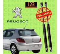 Ammortizzatori Molle a Gas Pistoni Pistoncini Portellone Bagagli Peugeot 307