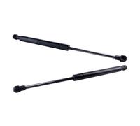 Ammortizzatori Molle Gas 2 Molle Supporto Per Ammortizzatori A Gas Cofano Anteriore Per BMW Per Serie 3 Per E46 Coupé 1998 1999 2000 2001 2002 2003-2007 Hood Puntone