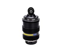 Ammortizzatori Per Benz W211 S211 E320 E350 E500 2002-2006 2007 2008 2009 Sospensioni Posteriori Molla Pneumatica Borse 2113200925 A2113200925 Ammortizzatore(1 pz)
