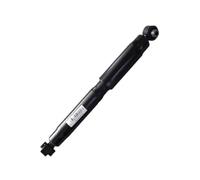 Ammortizzatori Per Dongfeng Per Joyear Per SX6 Per X6 Ammortizzatore Posteriore Sinistro Posteriore Destro Sospensioni Pneumatiche(Rear Left)