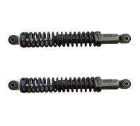 AMMORTIZZATORI POSTERIORI LIGIER JS50