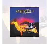 Amon Duul Ii - Carnival In Babylon