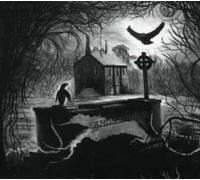 Amon Duul Ii - Hawks Meets Penguin