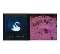 Among My Swan & So Tonight That I Might See