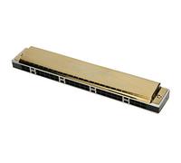 AMONIDA Armonica Tremolo a 24 Fori per Principianti, Strumento Musicale Dai Toni Chiari per Bambini, Corpo in Resina ABS, Colore Nero (B)