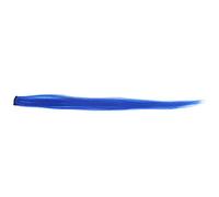 AMONIDA Estensioni dei Capelli Colorati per uno Styling Facile con Riflessi Clip-in per Ragazze Party Cosplay Parrucchino Sintetico Lungo 55 Cm (azzurro cristallo)