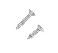 AMONIDA Fermo per Albero di Corde da 2 Pezzi, Accessorio per Chitarra in Lega di Zinco di Rame Premium con 2 Viti, per la Sostituzione della Testa della Chitarra Elettrica (SILVER)
