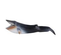 AMONIDA Giocattolo Educativo Dipinto a Mano con Figura di Balena Blu, Ideale per Giochi di Ruolo in Bagno e Insegnamento, in Plastica Morbida 9,1x2,8x2,4 Pollici