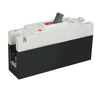 AMONIDA Interruttore Automatico 1P CC 160A Protezione da Cortocircuito | Plastica termoindurente , per impianti eolici, applicazioni a bassa tensione, compatibilità DC 12V-250V