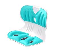 AMONIDA Supporto per la Schiena in Vita, Cuscino Ergonomico per Supporto per la Schiena in PP Comoda Spugna di Memoria Postura di Seduta Corretta per la Casa (Verde)