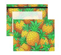 Amooorous Astuccio portatile portapenne per lettere formato A4, confezione da 2 pezzi, per studenti e aule carino, con motivo a cartoni animati, frutta, ananas