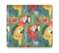 Amooorous Cartone animato carino colore pappagallo in pelle auto registrazione e assicurazione titolare carta essenziale portafoglio caso per documenti, carte, patente, Cartone animato carino colore