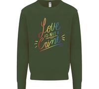 Amore Non È Un Crimine Lgbt Gay Consapevolezza Bambini Felpa Maglione