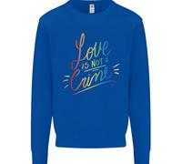 Amore Non È Un Crimine Lgbt Gay Consapevolezza Bambini Felpa Maglione
