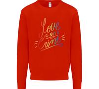 Amore Non È Un Crimine Lgbt Gay Consapevolezza Bambini Felpa Maglione