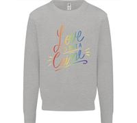 Amore Non È Un Crimine Lgbt Gay Consapevolezza Bambini Felpa Maglione