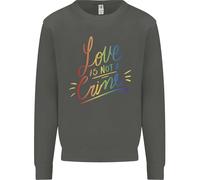 Amore Non È Un Crimine Lgbt Gay Consapevolezza Bambini Felpa Maglione