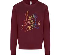 Amore Non È Un Crimine Lgbt Gay Consapevolezza Bambini Felpa Maglione