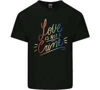 Amore Non È Un Crimine Lgbt Gay Consapevolezza T-Shirt Ragazzi Ragazze