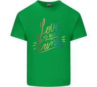 Amore Non È Un Crimine Lgbt Gay Consapevolezza T-Shirt Ragazzi Ragazze