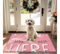 Amore Qui Pattern Non-Slip Assorbente Mat Porta per Porta d'ingresso, Corridoio, Cucina Decorativo e Pratico Tappeto