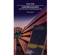 Amoreamaro. Racconti tratti da storie (quasi) vere. Ediz. speciale