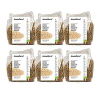 Amoreterra, (6 Pz.) Pasta Senatore Cappelli integrale Bio Semi di Melone 500g, Grani antichi, artigianale biologica, trafila al bronzo, essiccata bassa temperatura, farina a pietra in antico mulino