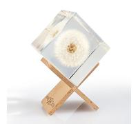 Amoroses WISH - Dente di Leone vero, conservato in cubo di resina trasparente - Fiore Soffione in confezione elegante - Idea Regalo Originale, oggetto decorativo - Esprimi un desiderio