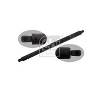 Amortisseur Del Hayon Per BMW X5 51247177283 51247294199