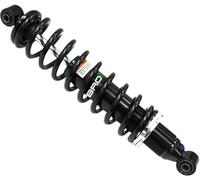 Amortizzatore A Gas Anteriore #AU-04338