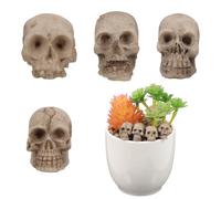 Amosfun 20Pcs Decorazione Teschio Di Halloween Resina Mini Teschi Scheletro Umano Testa Di Teschio Per Oggetti Di Scena Di Halloween Artigianato Bar Decorazione Della Tavola Di Casa