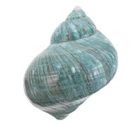 Amosfun Conchiglia Naturale Mediterranea per Decorazione da Tavolo Specimen Unico per Artigianato Marittimo e Acquari Regalo Educativo e Collezione Shell