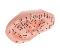 Amosfun Modello Orecchio per Agopuntura e Riflessologia Simulazione Acupoint per Apprendimento Tcm Strumento Professionale per Istituti e Massaggio