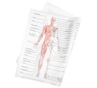 Amosfun Poster Anatomia Umana 50X70 CM su Seta Diagramma Muscoli e Scheletro Immagine Didattica per Scuole e Laboratori Strumento Educativo per Insegnare Anatomia