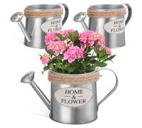 Amosfun Set 3 Pezzi Vaso in Ferro Rustico Decorativo Corda in Juta, Annaffiatoio Piccolo da Tavolo per Composizioni Floreali Interne, Secchio Portafiori Vintage per Decorazione Casa