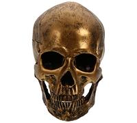 Amosfun Statua Di Scheletro Con Teschio in Resina Per Halloween Decorazione Vintage Per La Casa Realistico Di Teschio Umano