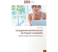 Amous-K Le jugement professionnel de l'expert comptable (Tascabile)
