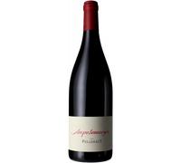 Ampelomeryx Rouge 2023 - Pellehaut Vin de France