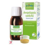 AMPELOPSIS WESTRATTO IDROALCOLICO BOIRON MACERATO GLICERICO 60 ML