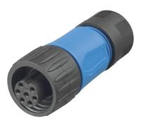 Amphenol C016 30D006 110 10 Connettore circolare Giunto dritto Tot poli: 6 + P