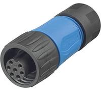 Amphenol C016 30D006 110 10 connettore Elettrico Standard 14 A 7P Dritto