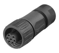 Amphenol C016 30D006 110 12 Connettore circolare Giunto dritto Tot poli: 6 + P